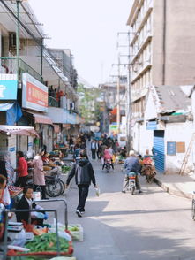 住在建國路，逛個菜場都要胖10斤